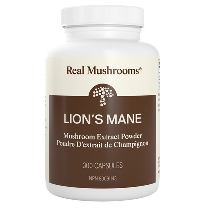 A white bottle labeled "Real Mushrooms Organic Lion's Mane Extract Capsules" contains 300 capsules—a potent organic mushroom supplement crafted to support mental clarity.