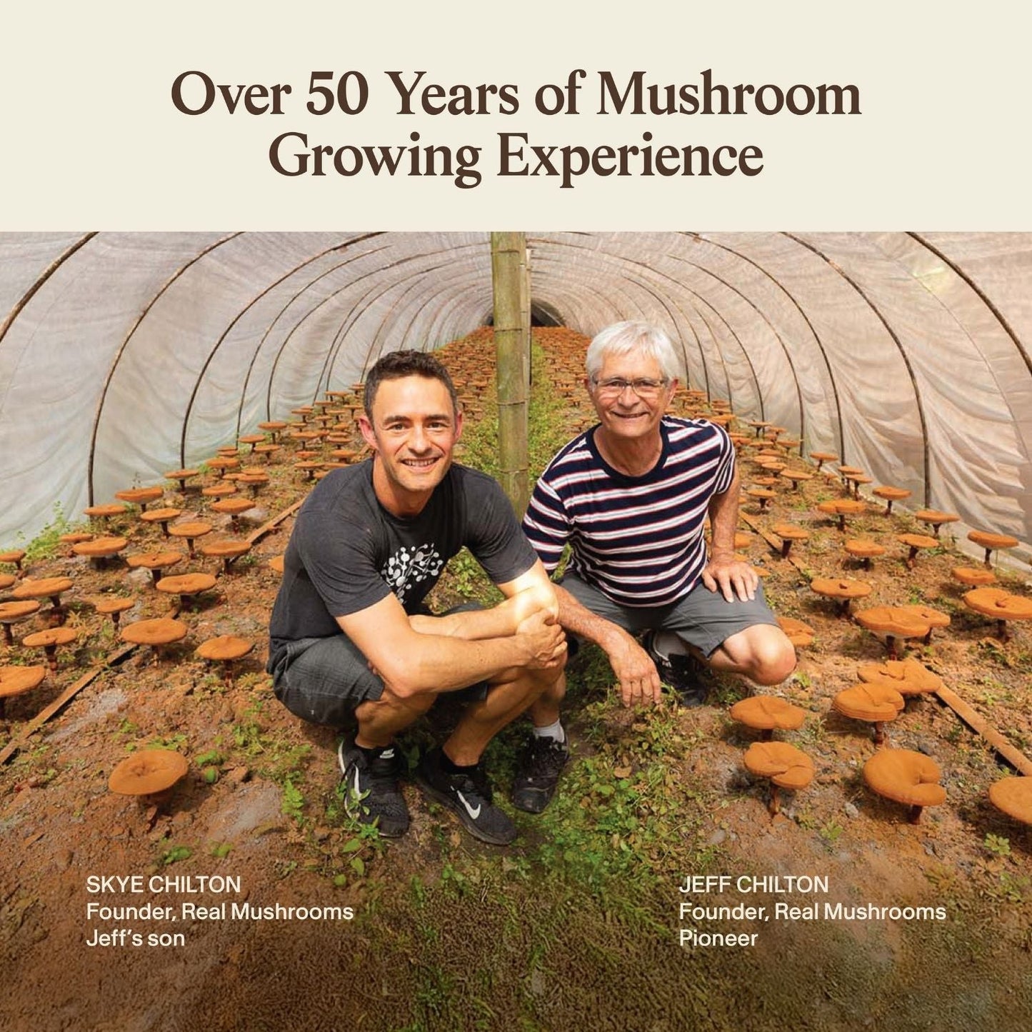 Skye and Jeff Chilton, founders of Real Mushrooms, draw on 50+ years of expertise to offer Lion's Mane FOCUS—a natural supplement crafted for cognitive support.