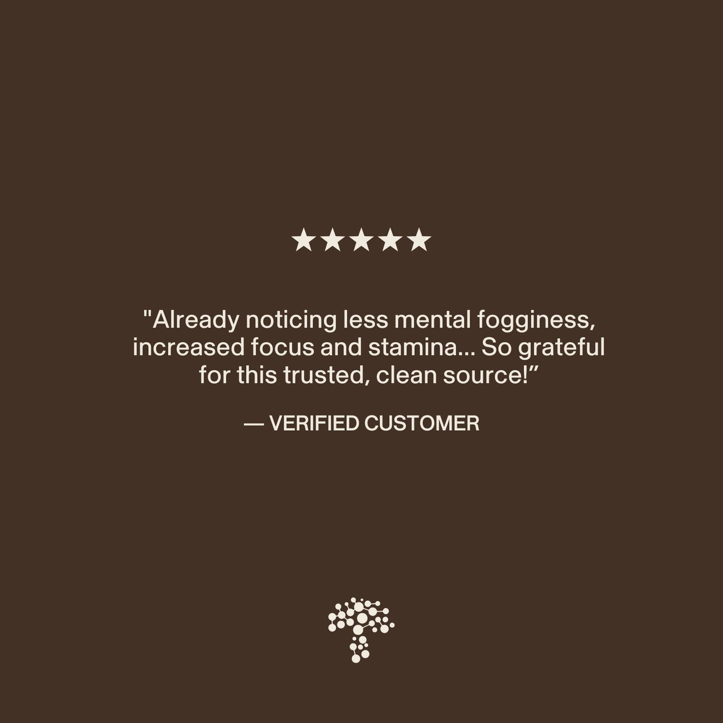 A five-star customer review on a brown background praises improved mental clarity, focus, and stamina from the Lion's Mane Focus Bundle by Real Mushrooms. A tree logo is shown at the bottom.