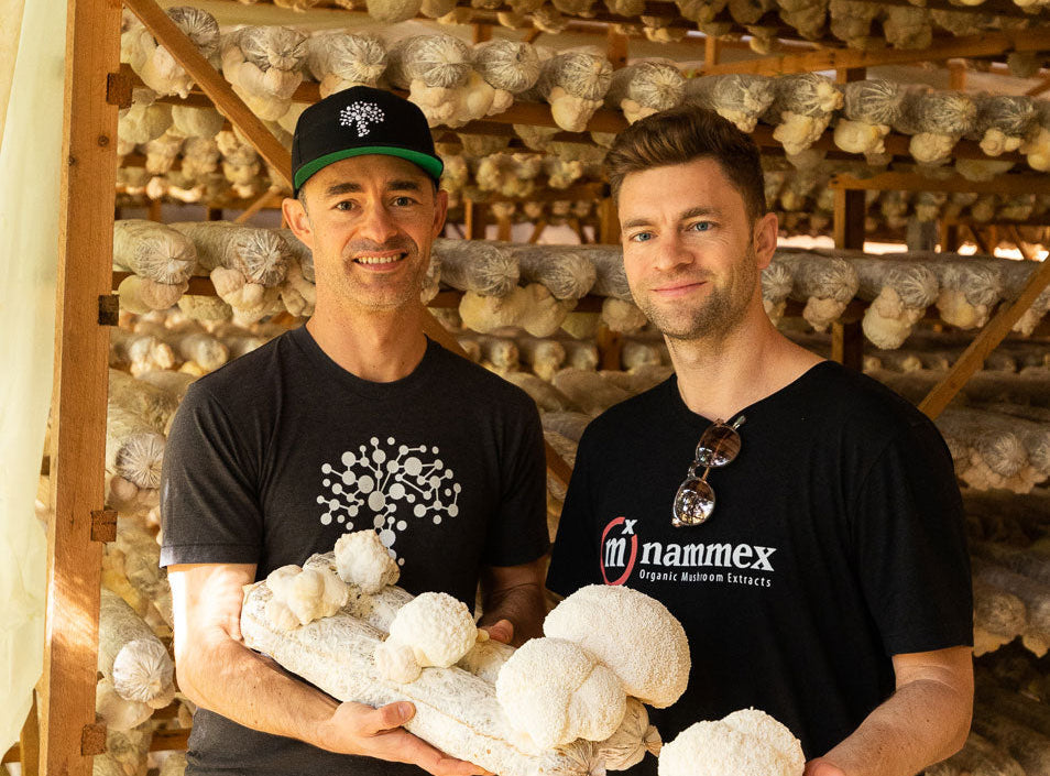 Adam and Skye Chilton holding large white mushrooms in a mushroom cultivation facility.